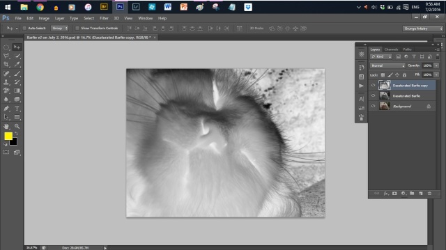 Image 6 - Invert the Desaturated Barfie Copy layer
